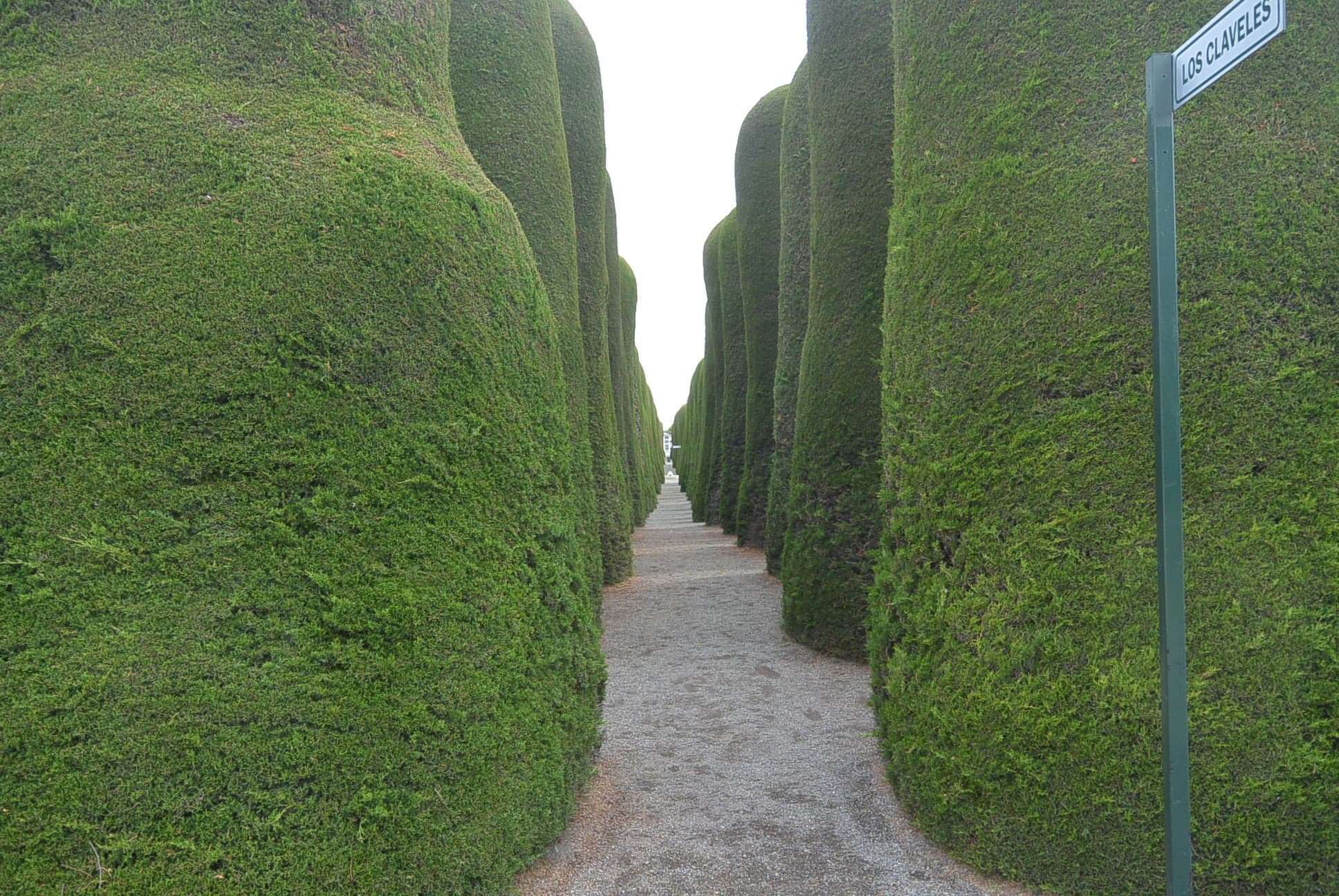 Friedhof von Punta Arenas