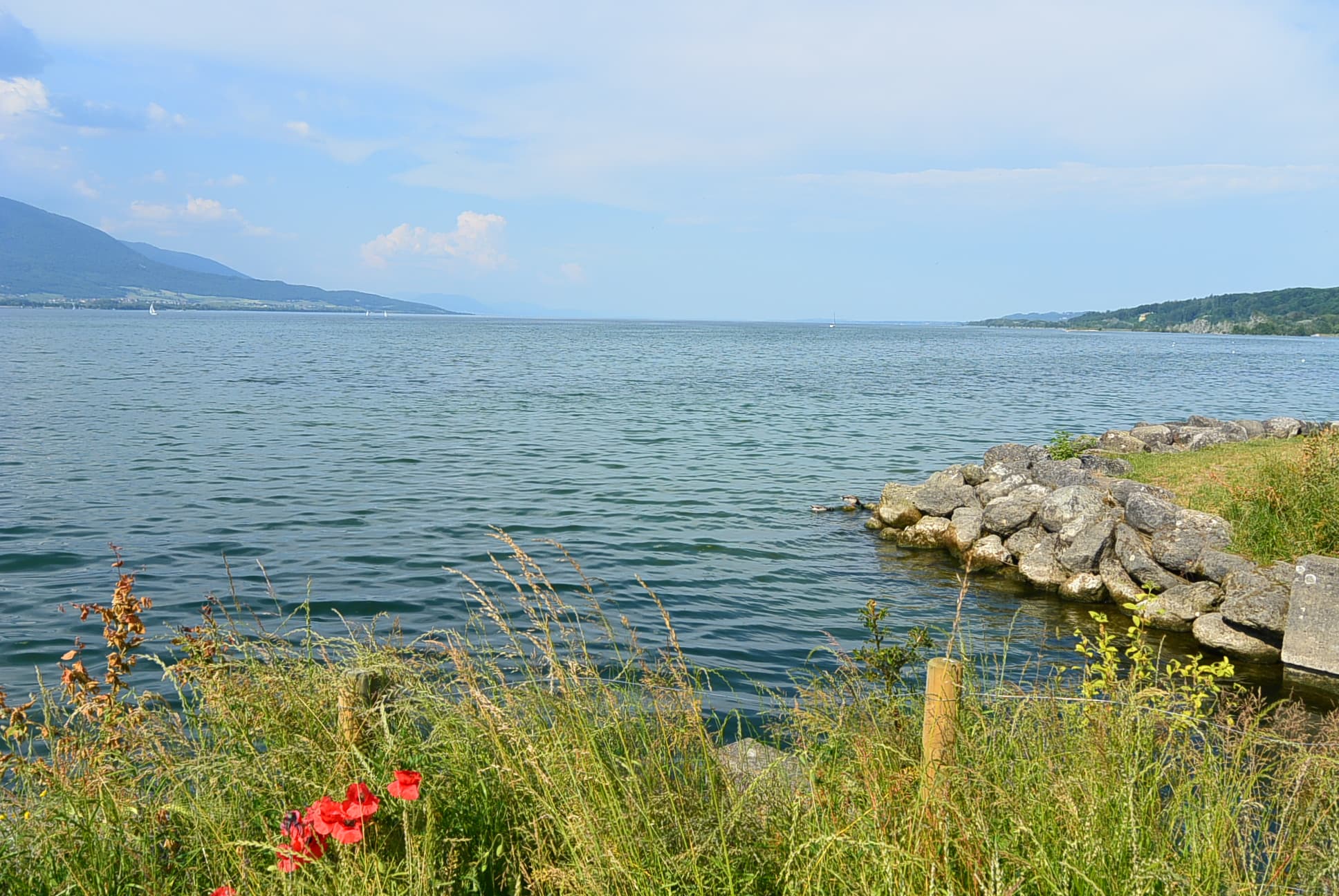 Der Neuenburgersee vom Camping aus