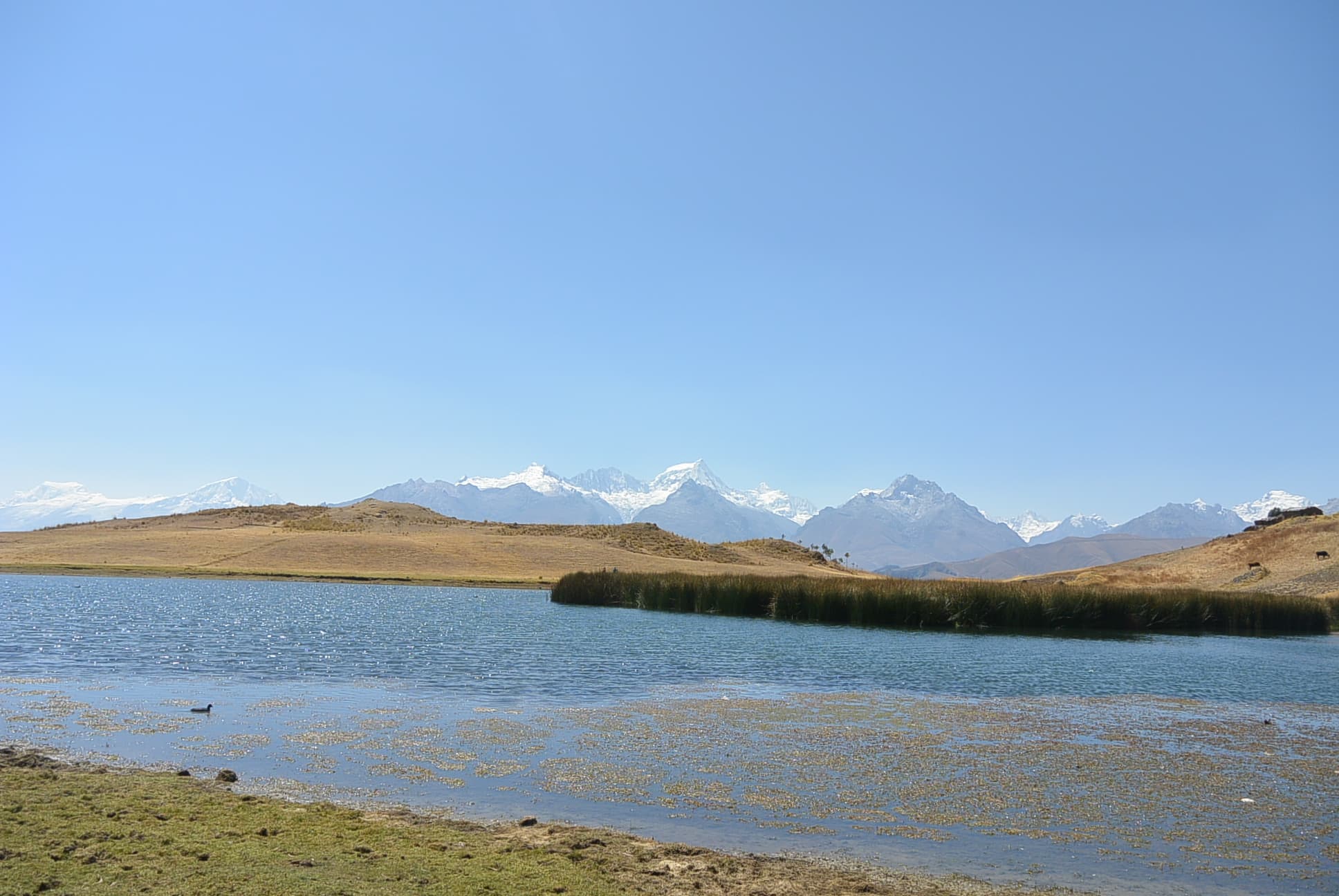 Laguna Wilcacocha
