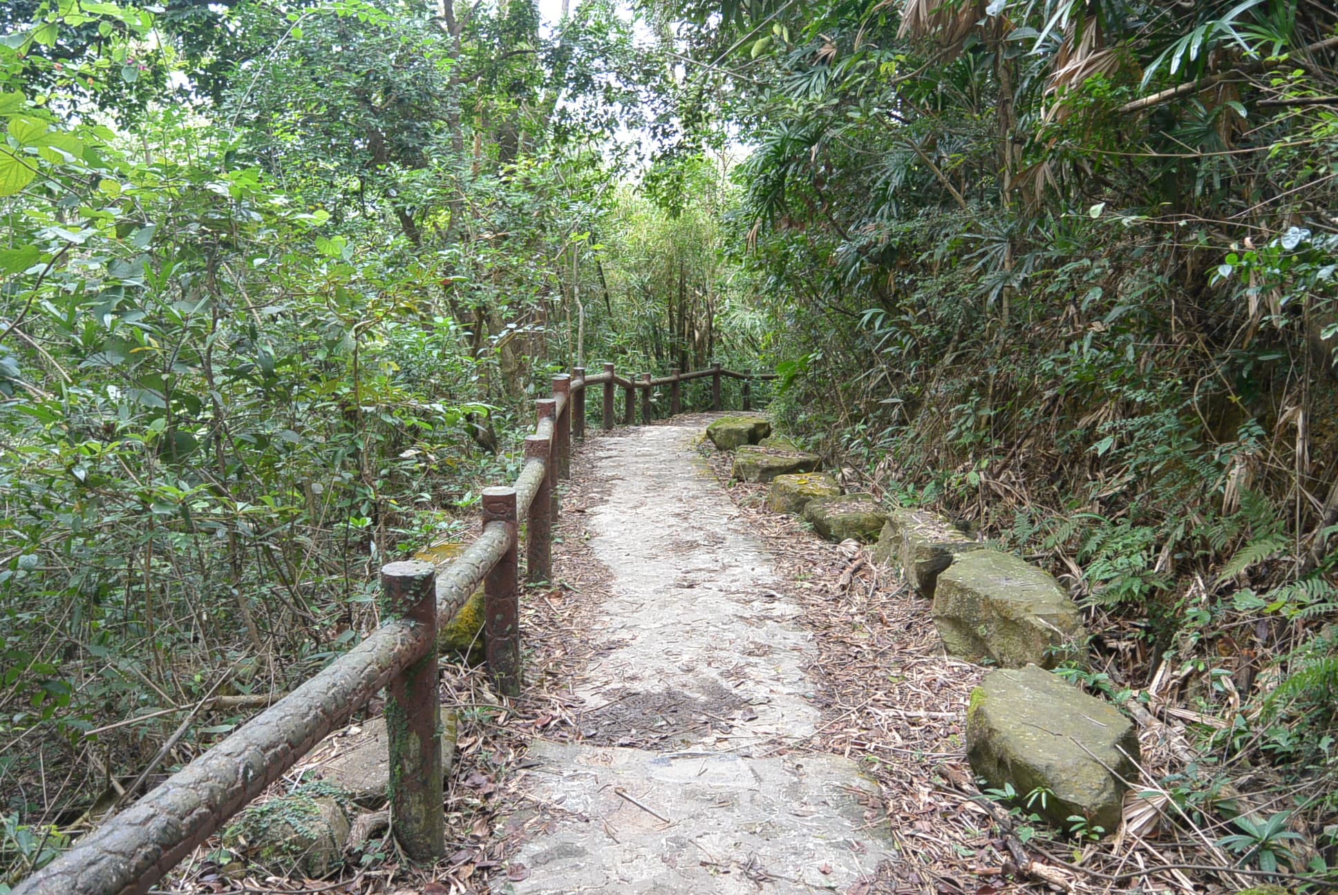 Die Wanderwege von Hong Kong sind wunderschön