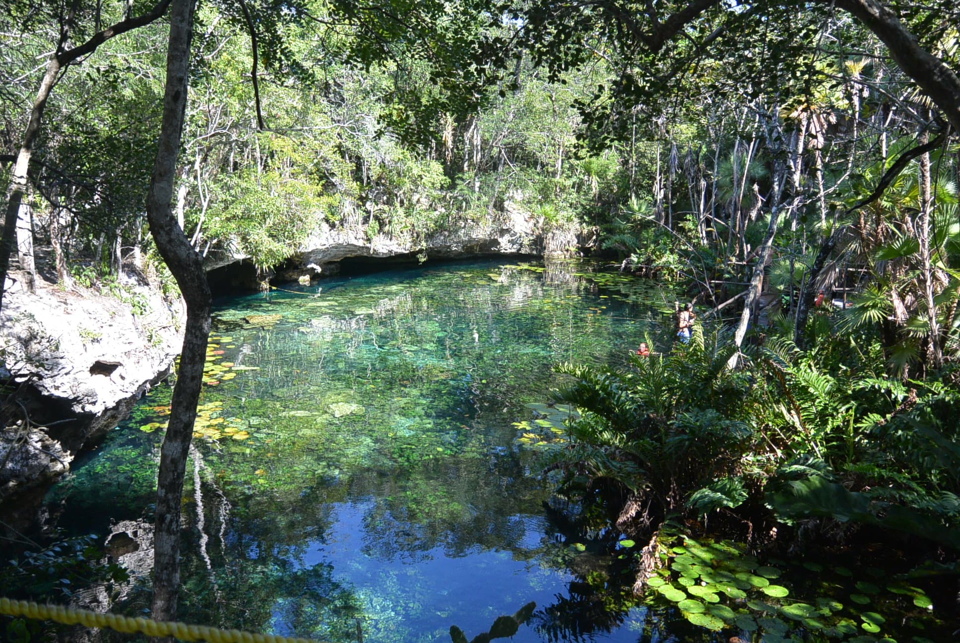 Cenote Nic Te Ha