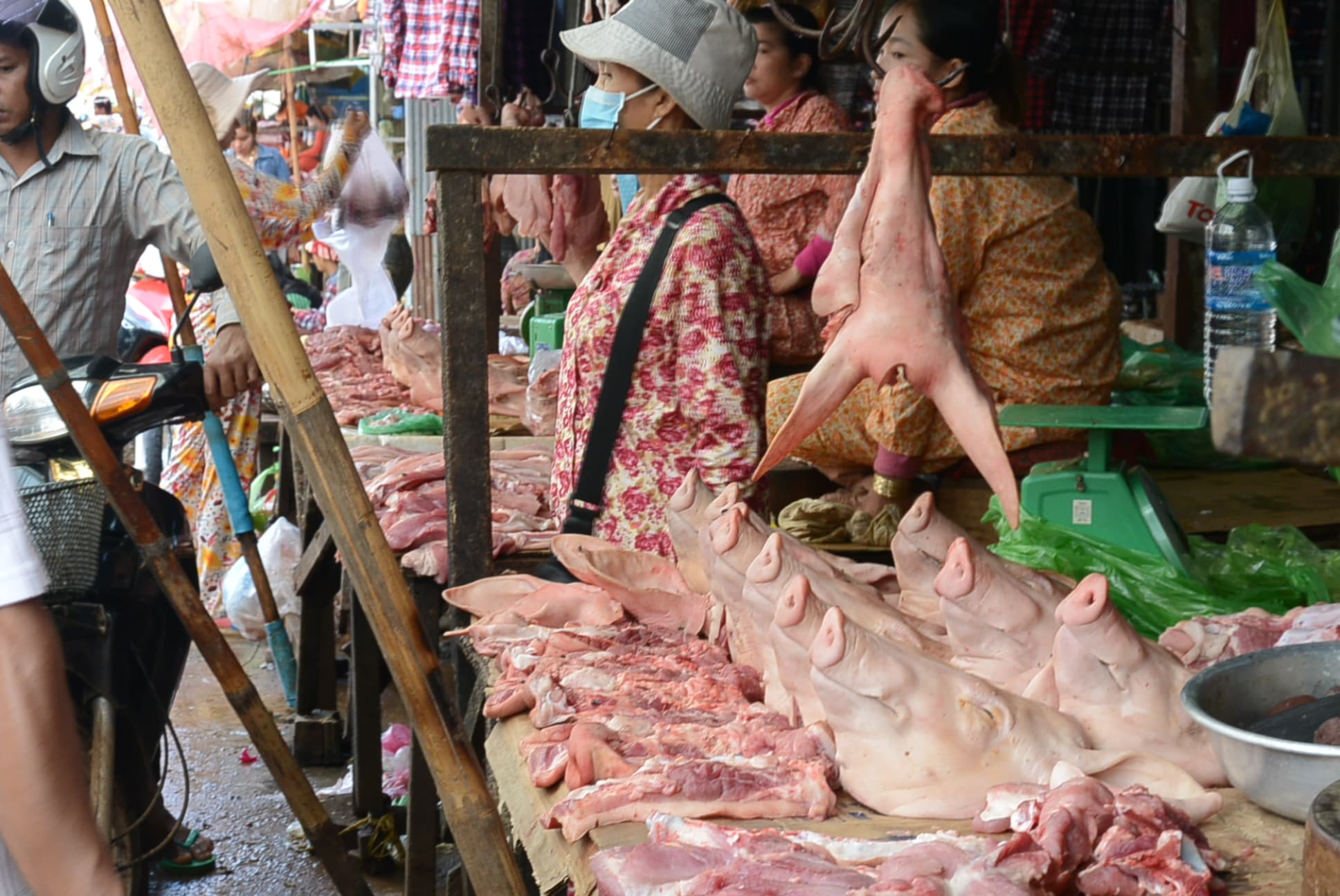 Schweinekopf gefällig?