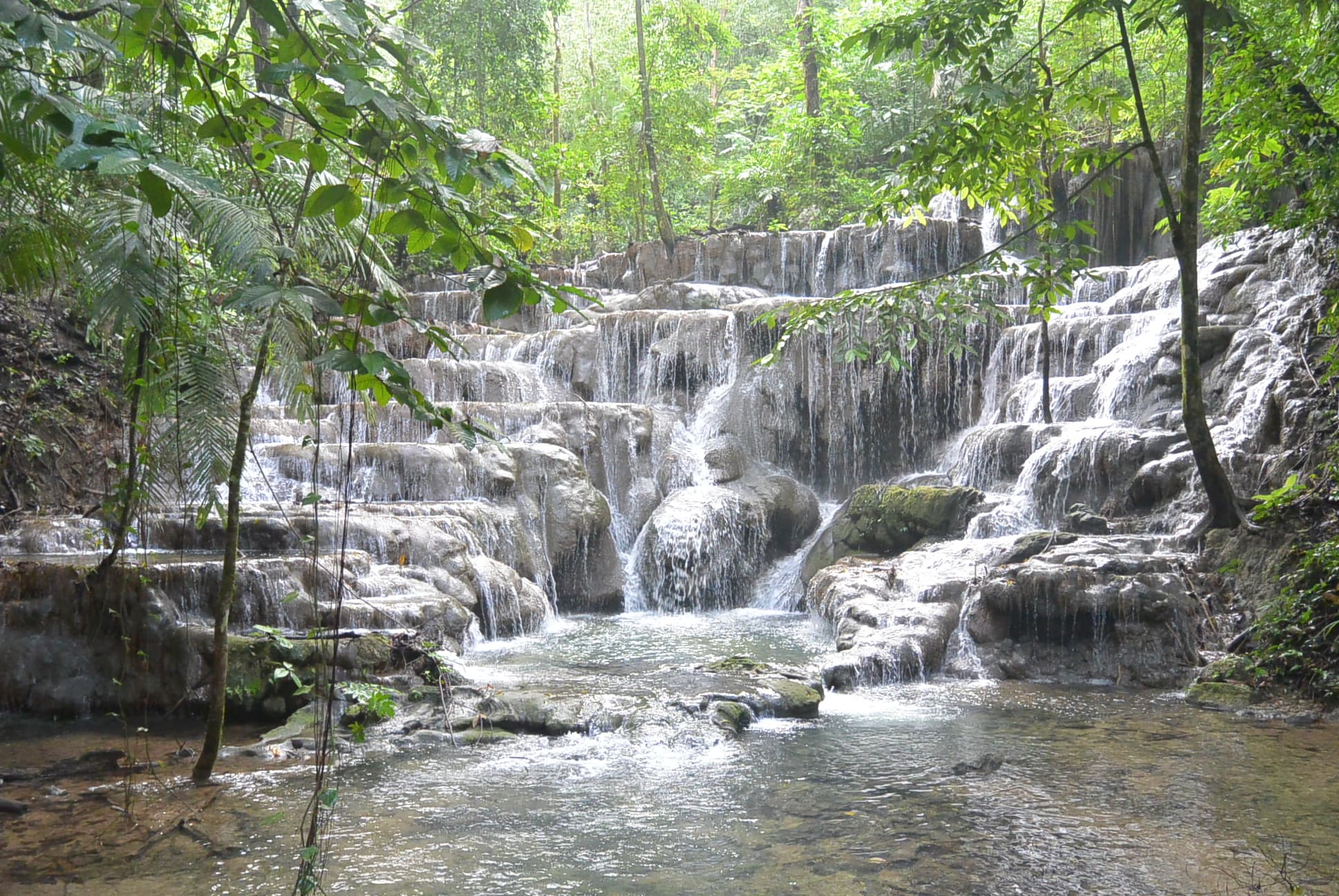 Der Wasserfall mitten im Wald