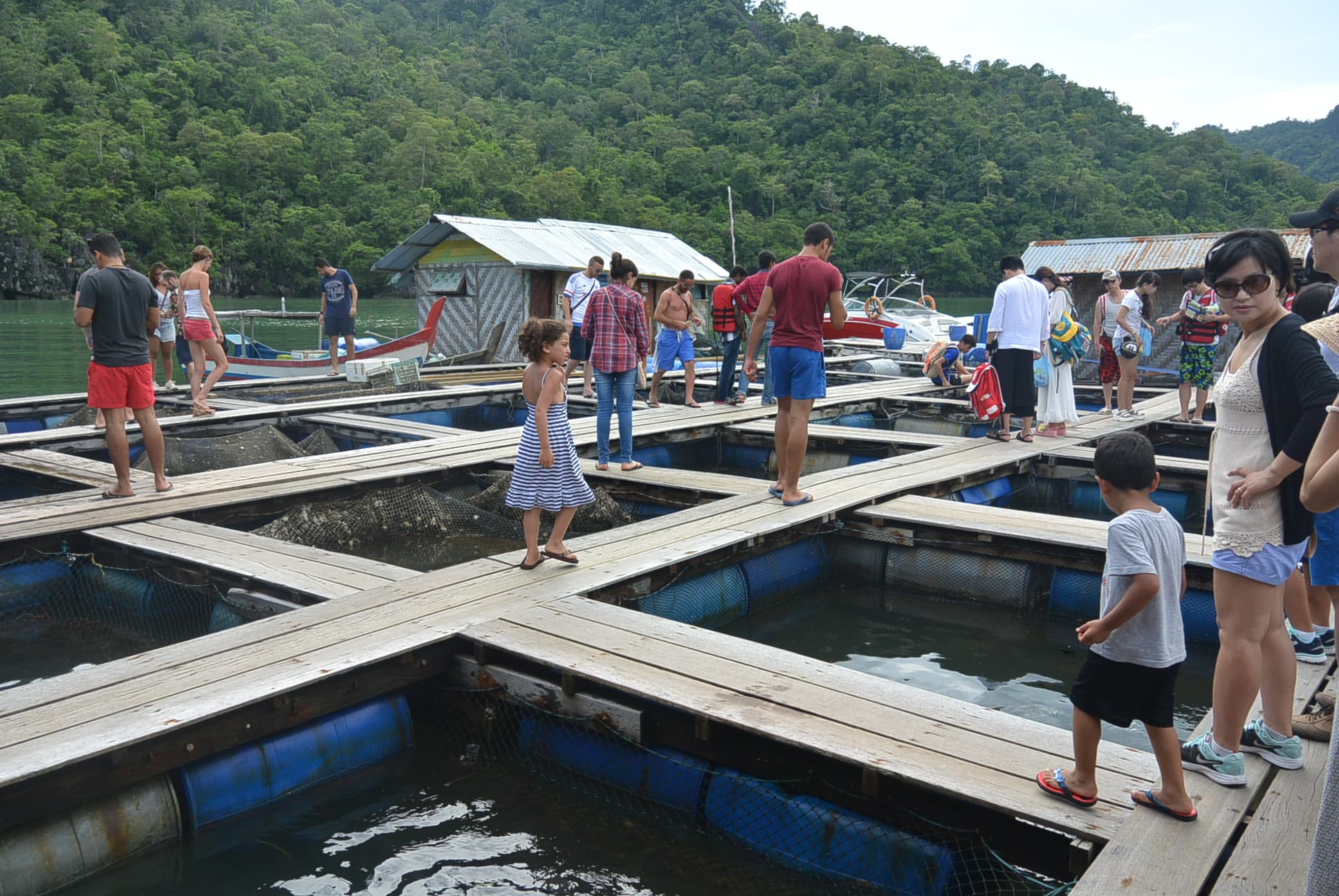 Die Fischfarm mit den Becken