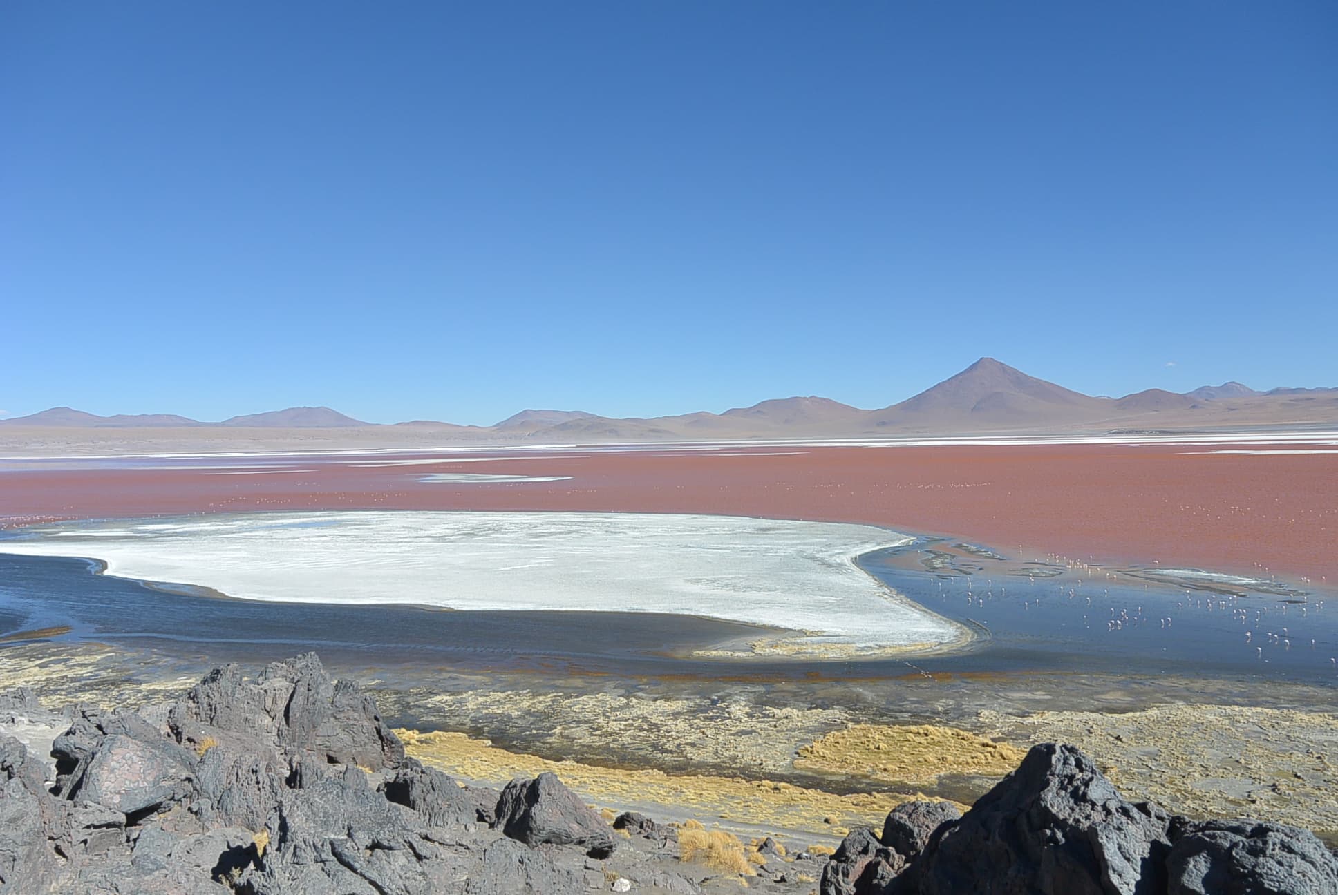 Die Laguna Colorada