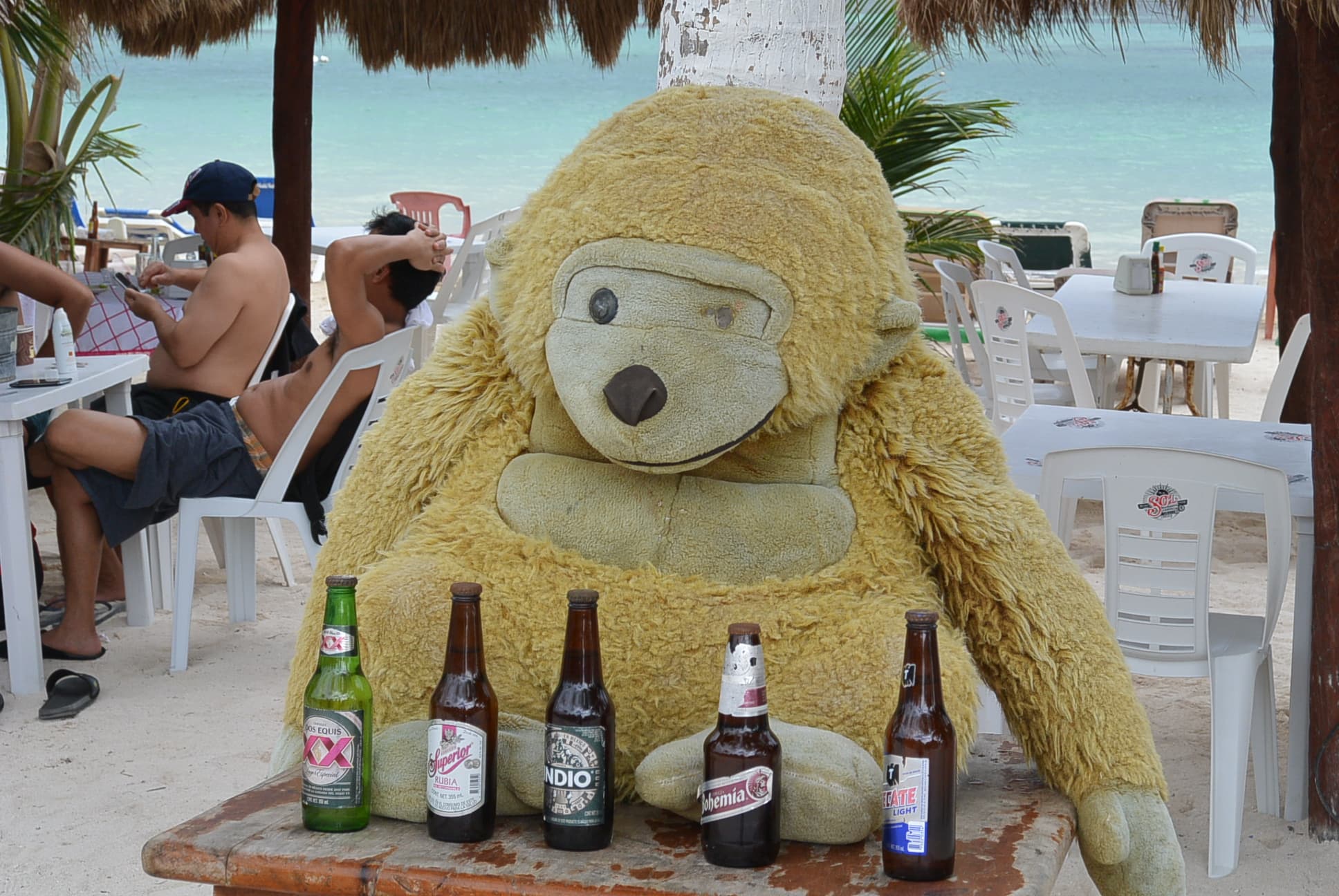 Fünf Bier sind fünf zu viel!