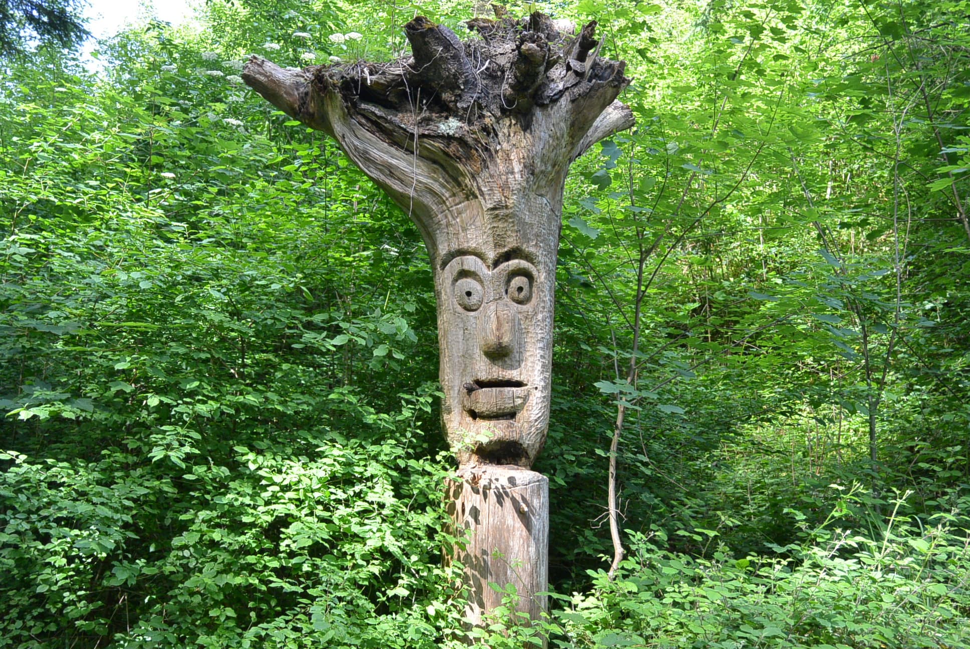 Was guckst du so?