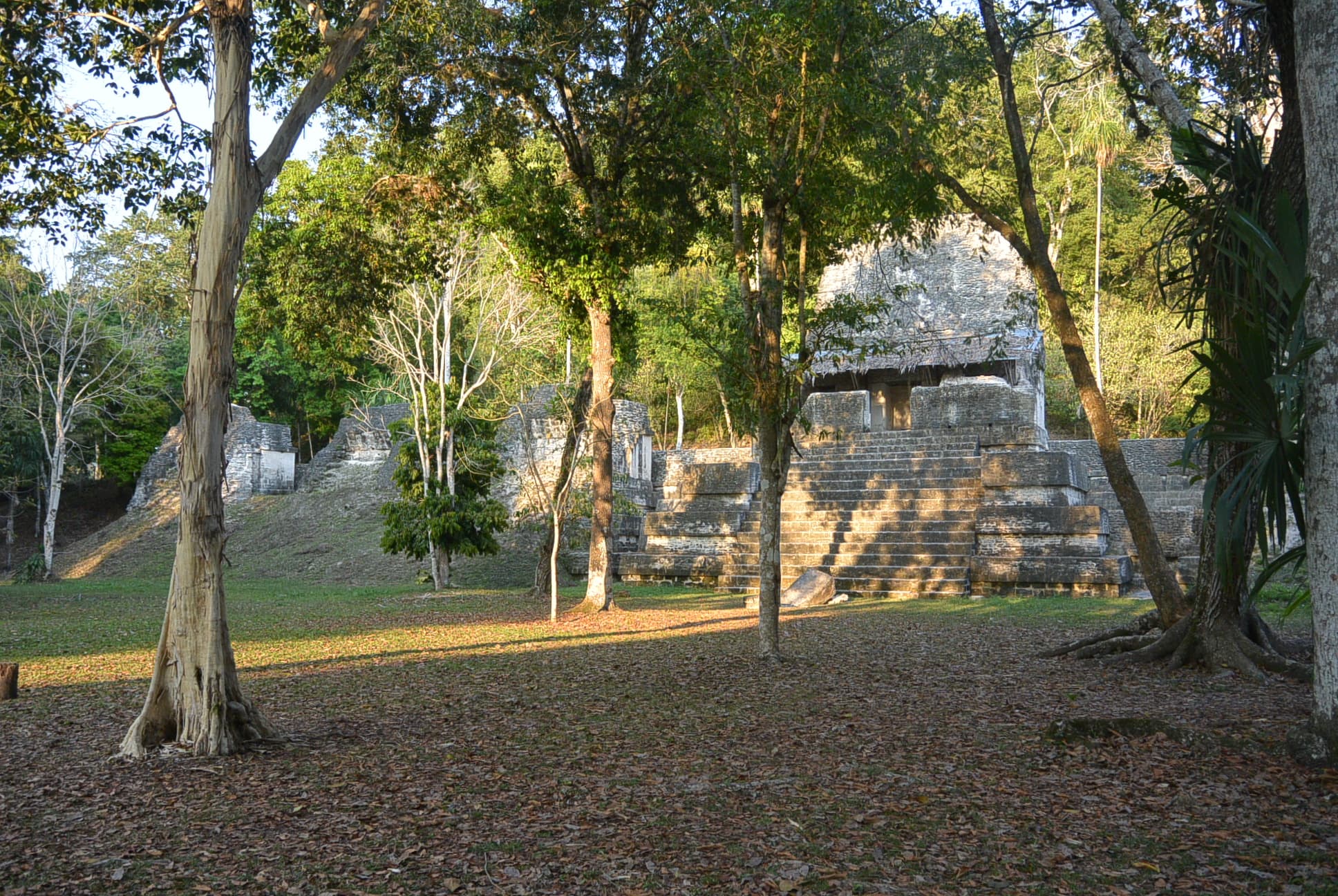 Vier der sieben Tempel im Wald