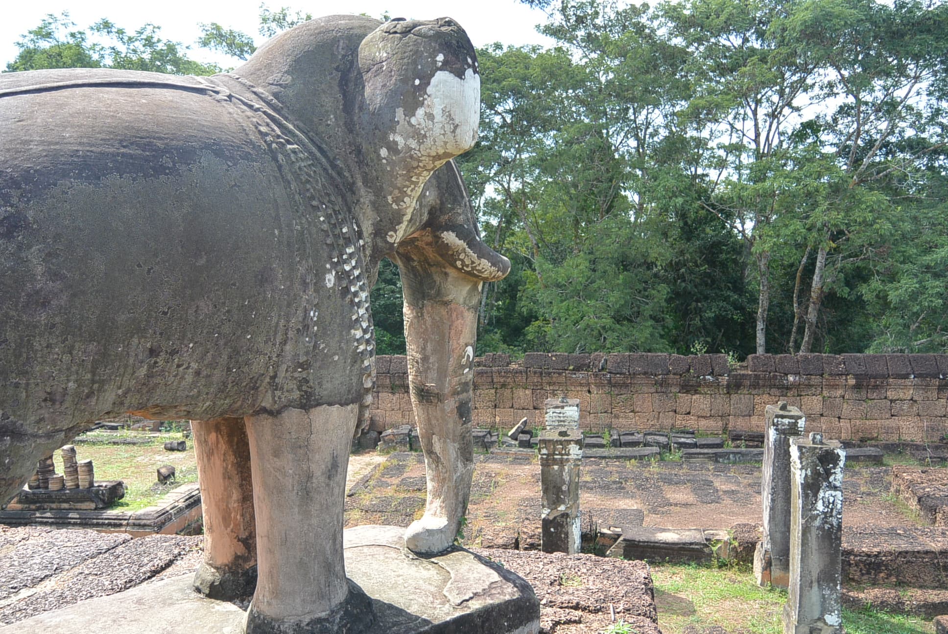Ein Elefant im Ecken
