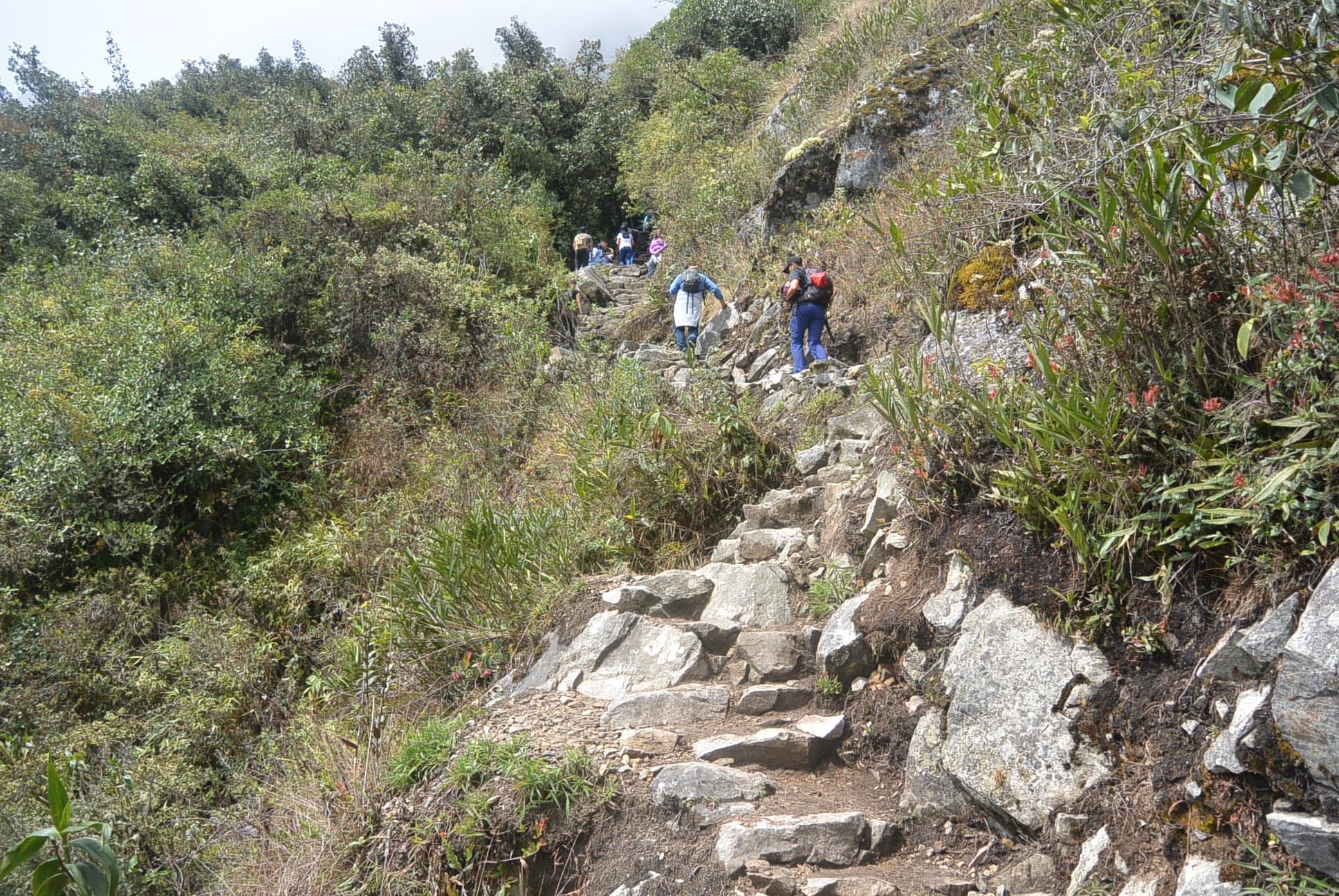 Die Treppe hoch zum Montaña Machu Picchu