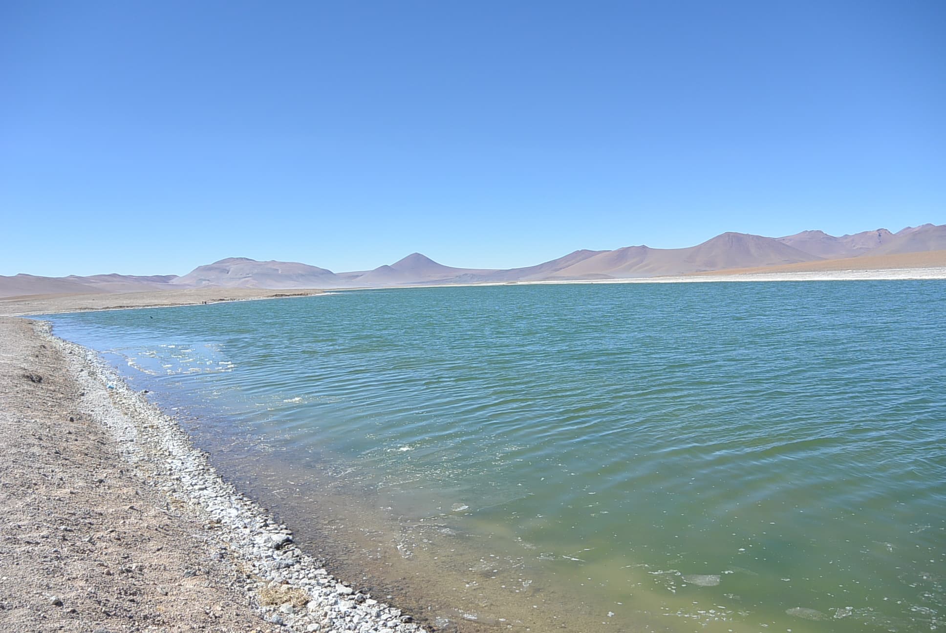 Lagune in der Salar de Tara