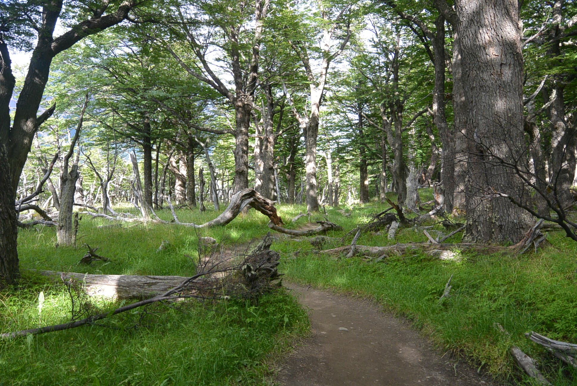 Bezaubernde Natur