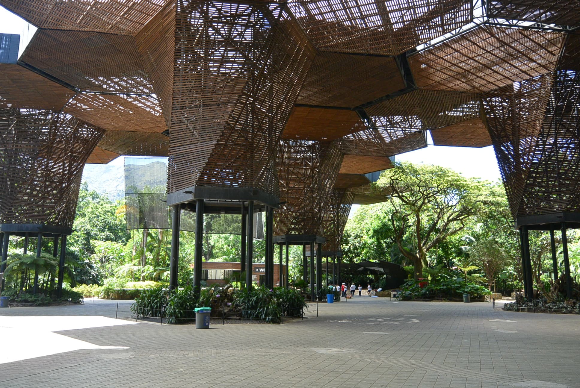 Das Orchideorama