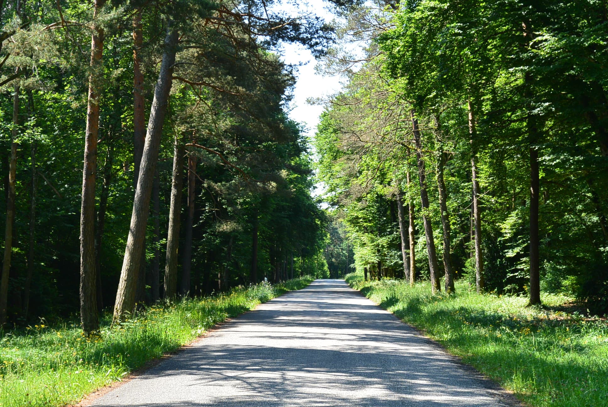 Ein Auto pro Stunde