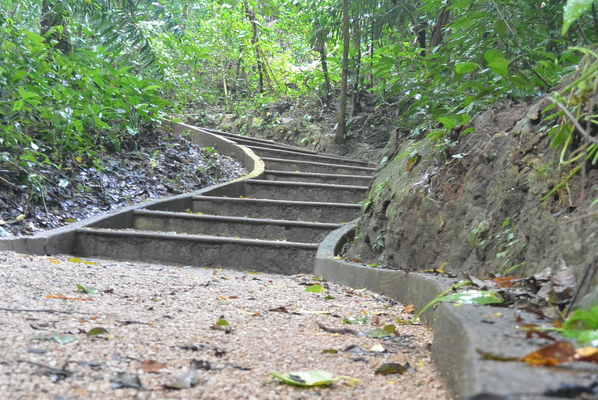 Treppe hoch, Treppe runter