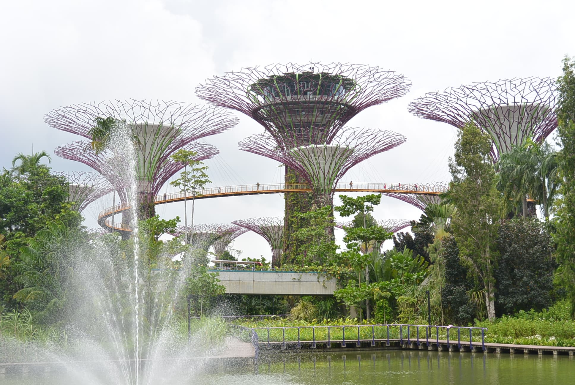 Einige der Supertrees