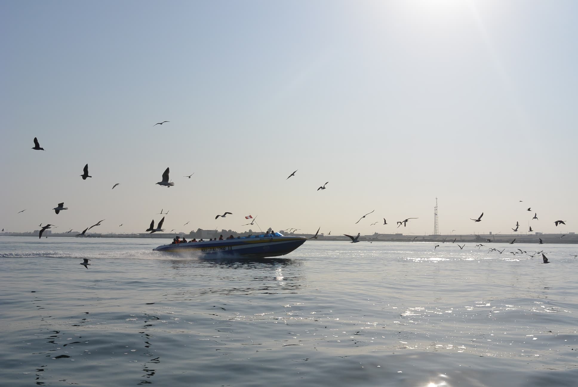 Auf der Fahrt zu den Islas Ballestas
