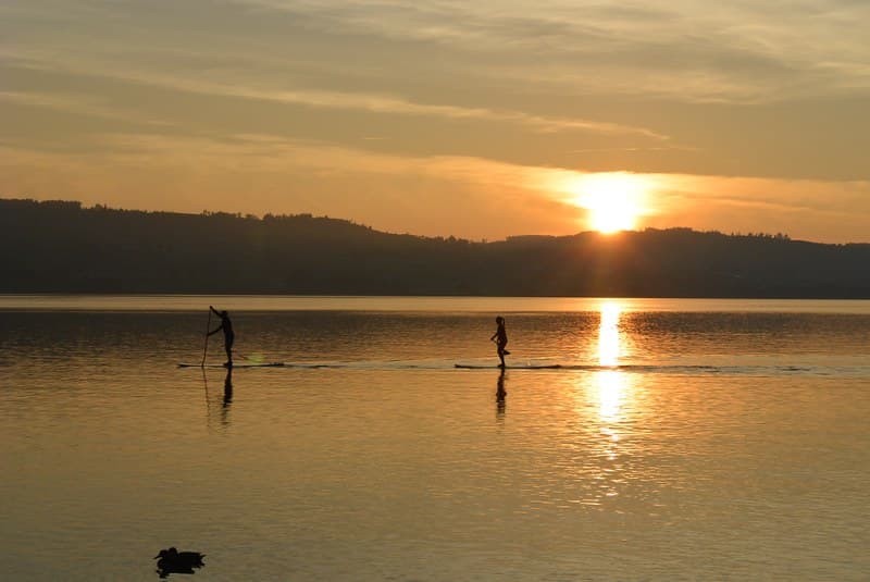 Sempachersee, Sommer 2014