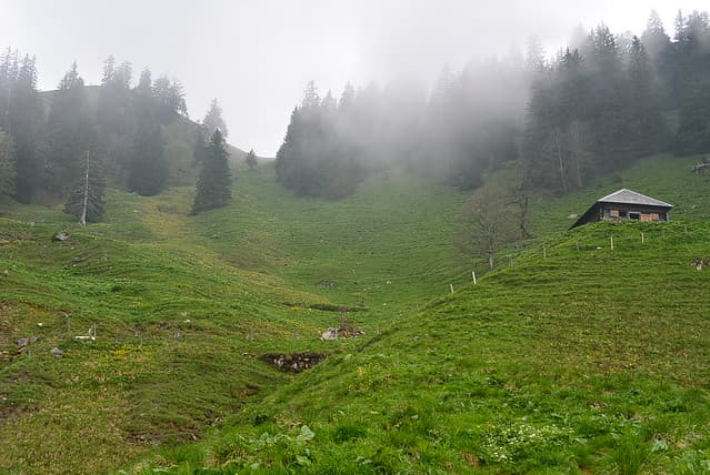 Blick zurück