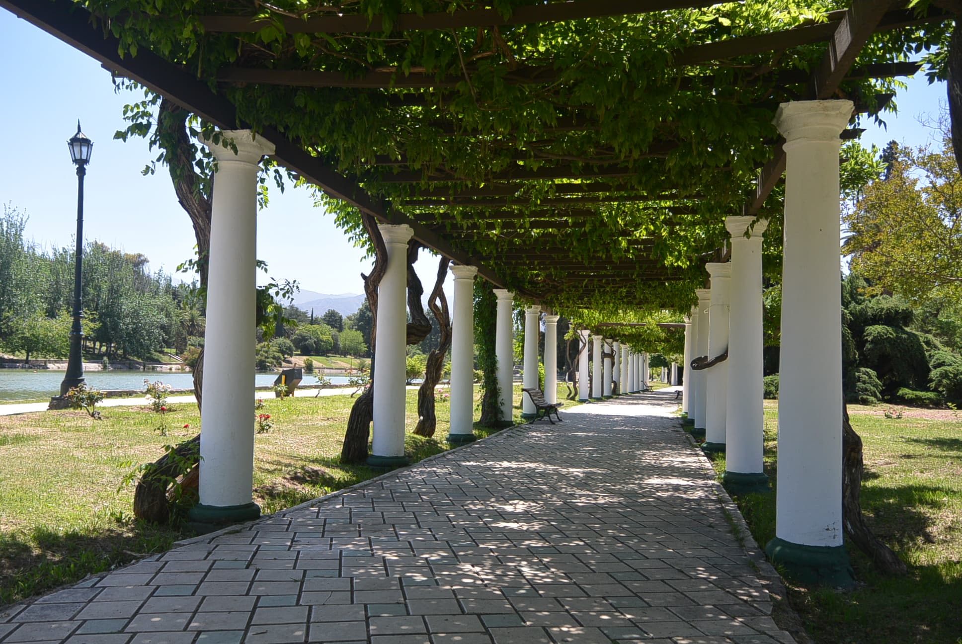 In einem der Parks von Mendoza