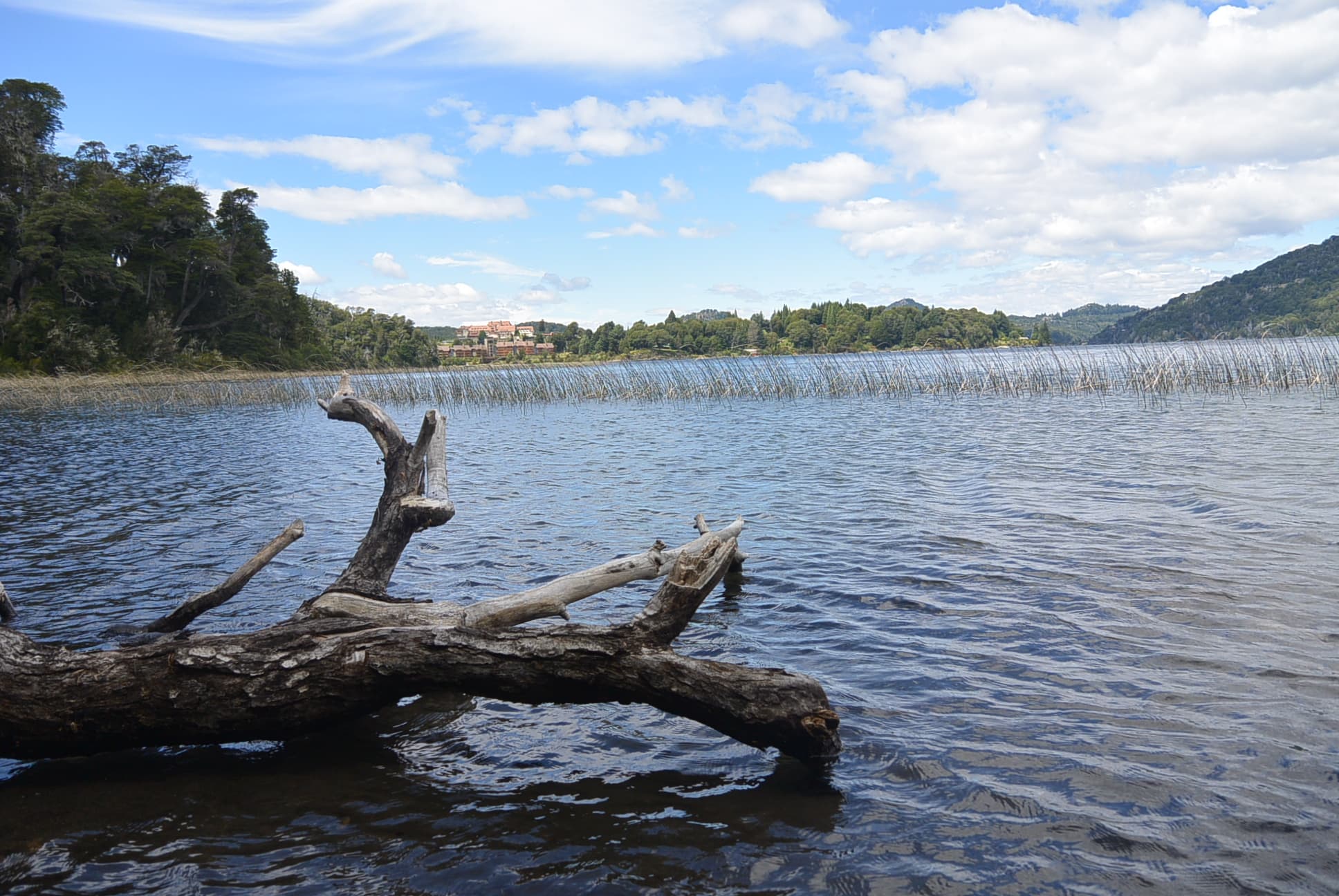 Entlang des Lago Moreno