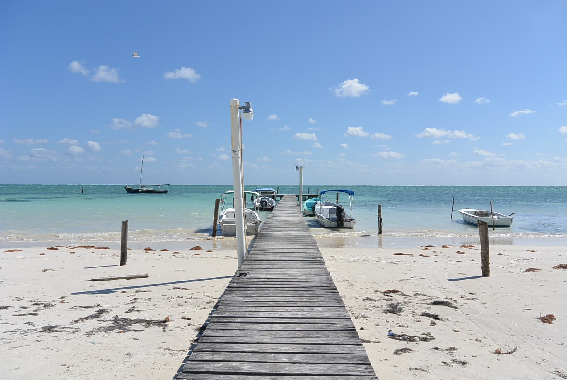 Ein Steg auf Caye Caulker