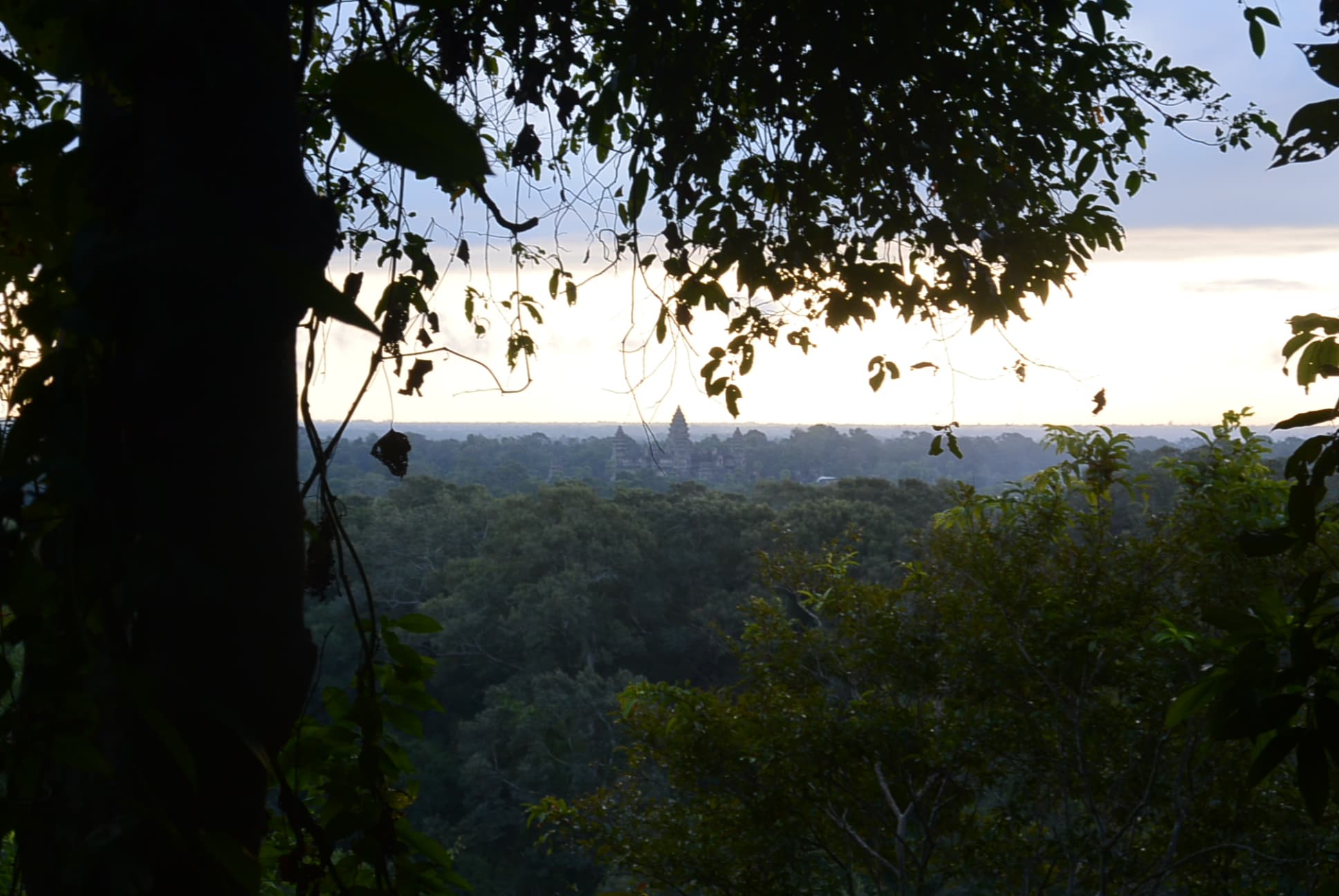 Angkor Wat in der Ferne